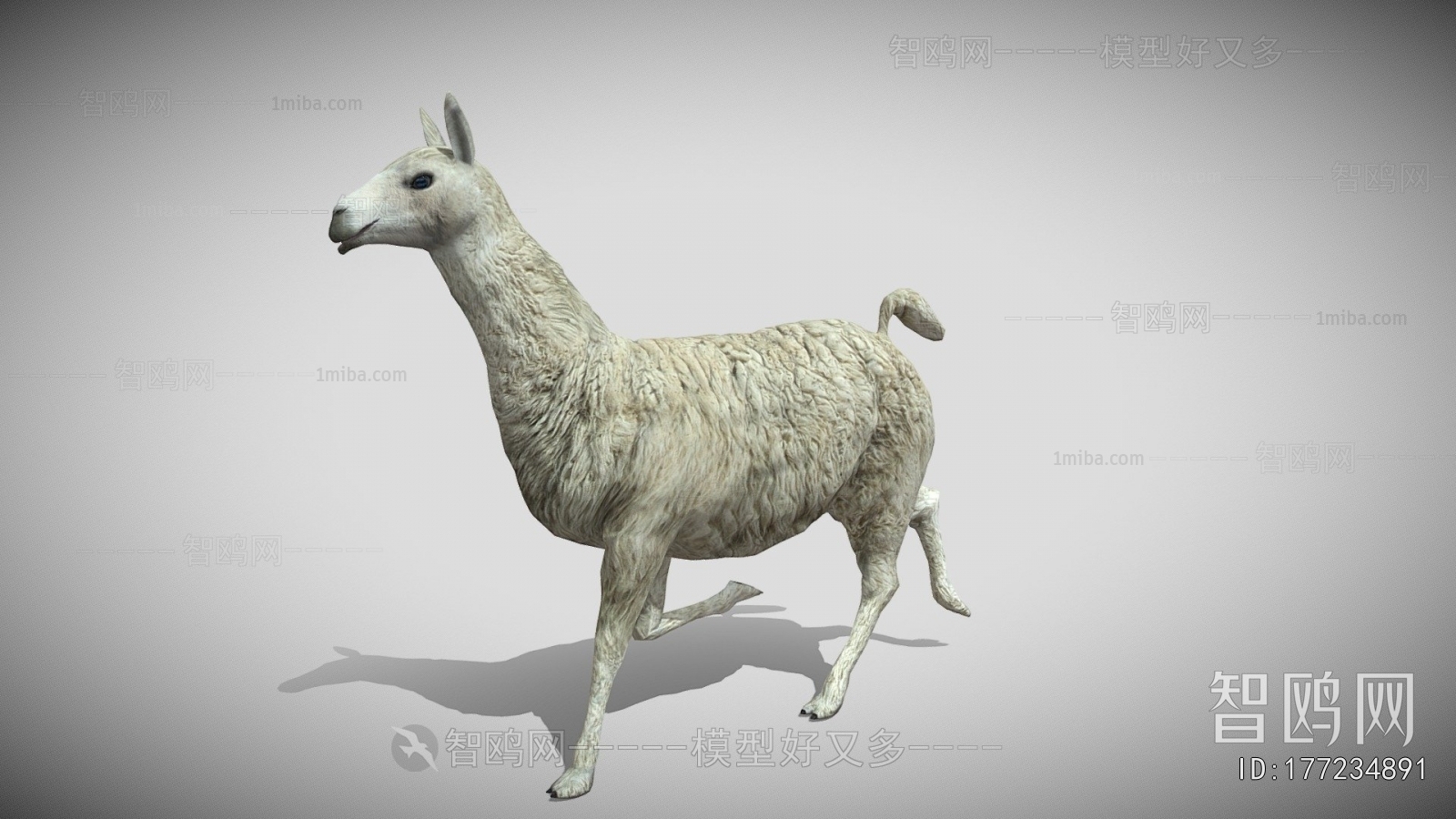 Modern Mammal
