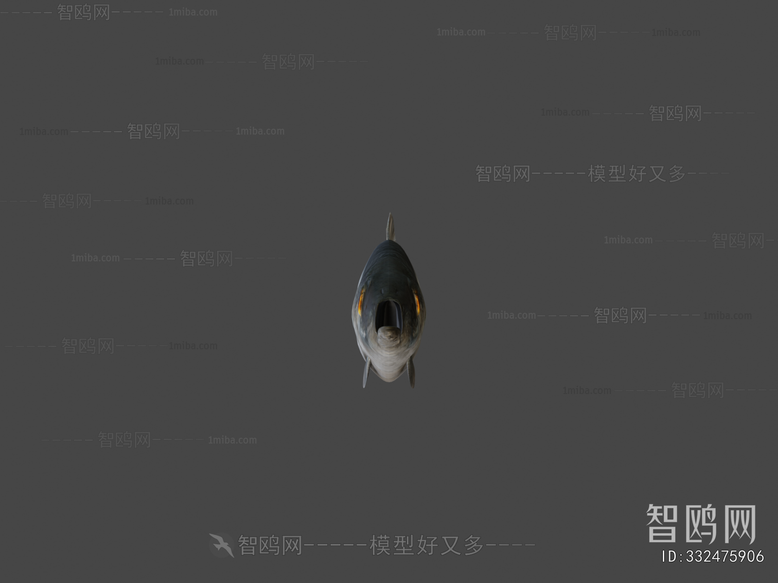 Modern Aquatic Animals