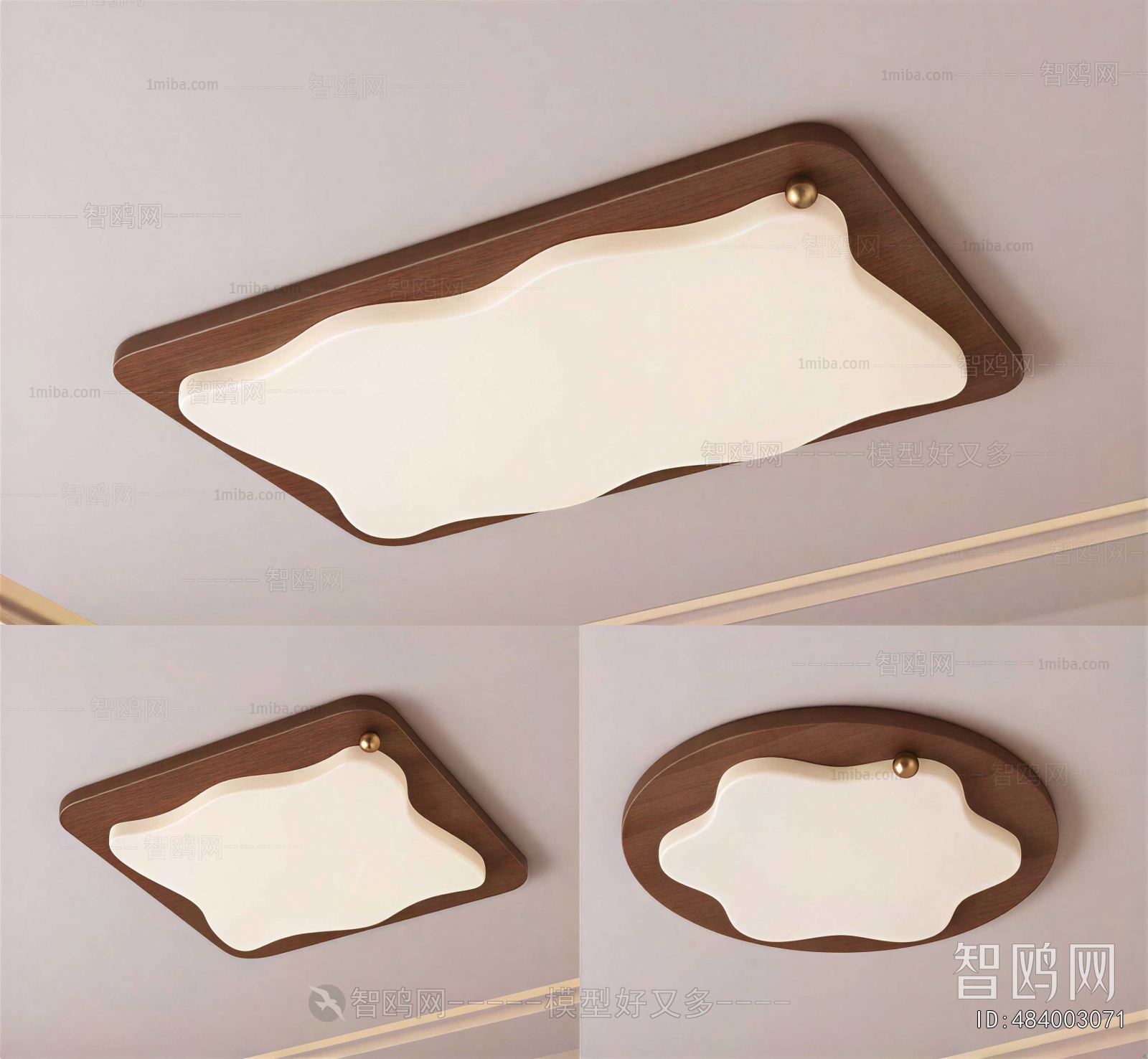 Modern Ceiling Ceiling Lamp