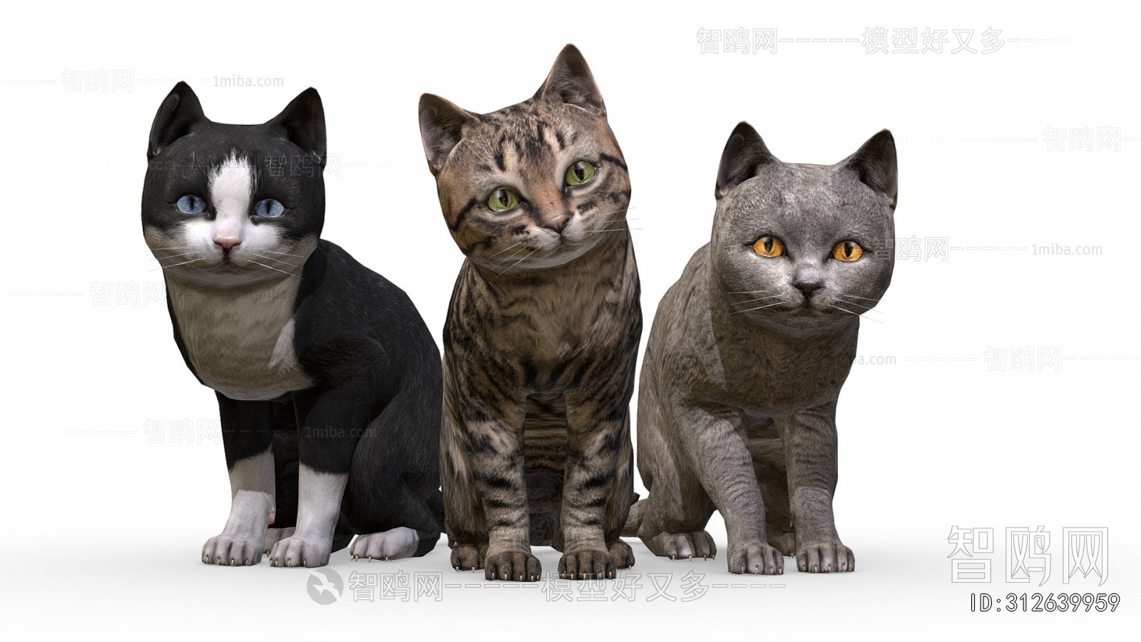 Modern Animal