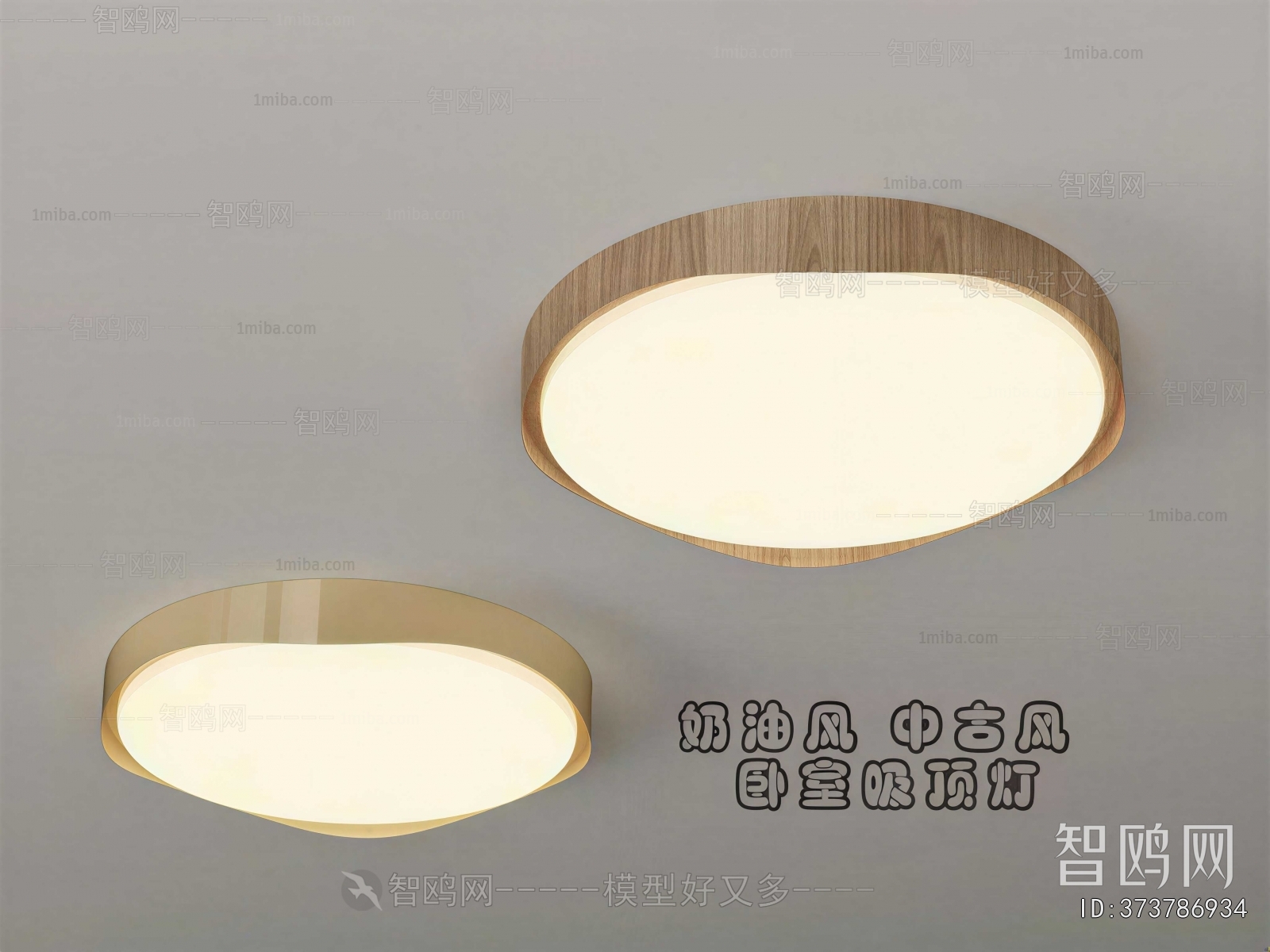 Modern Ceiling Ceiling Lamp