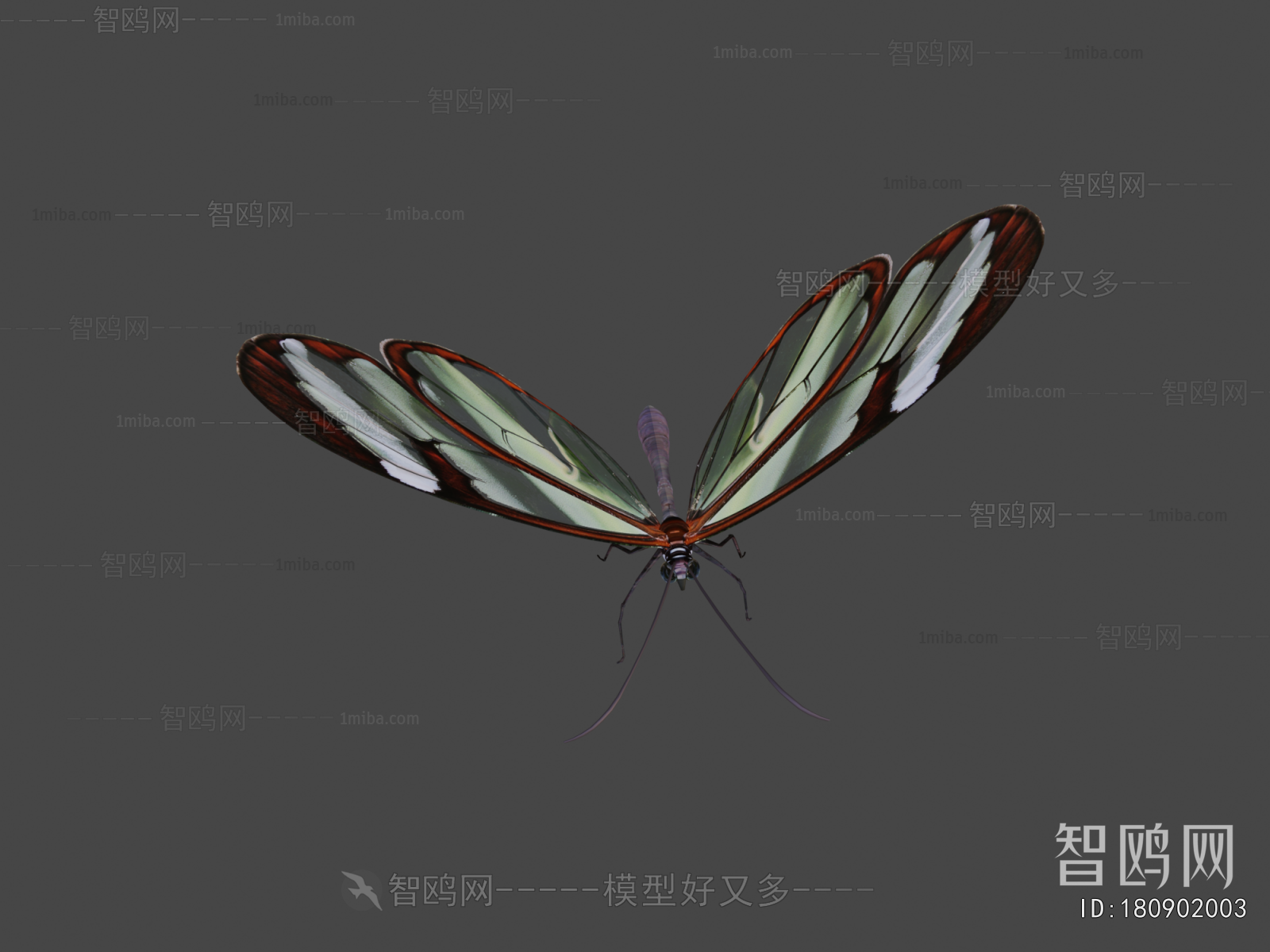 Modern Animal
