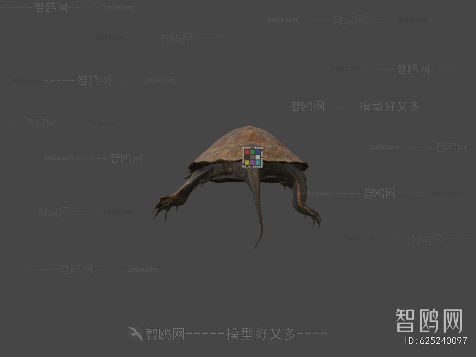 Modern Reptile