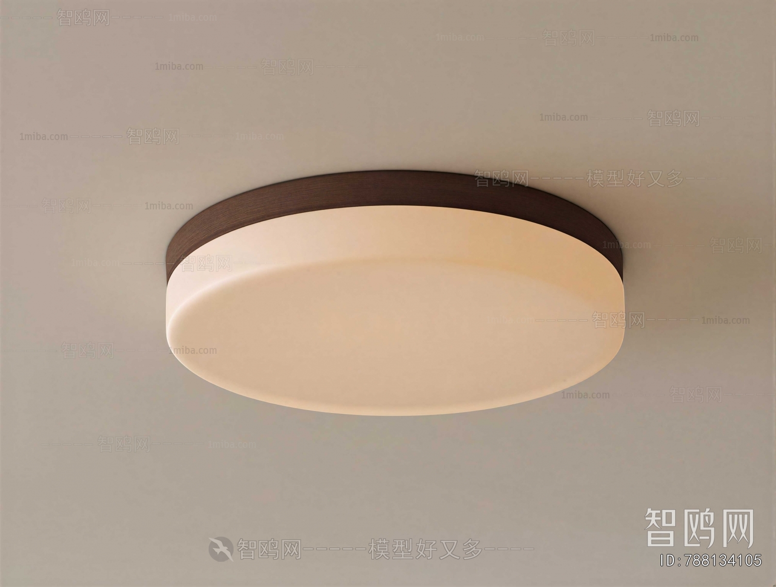 Modern Ceiling Ceiling Lamp