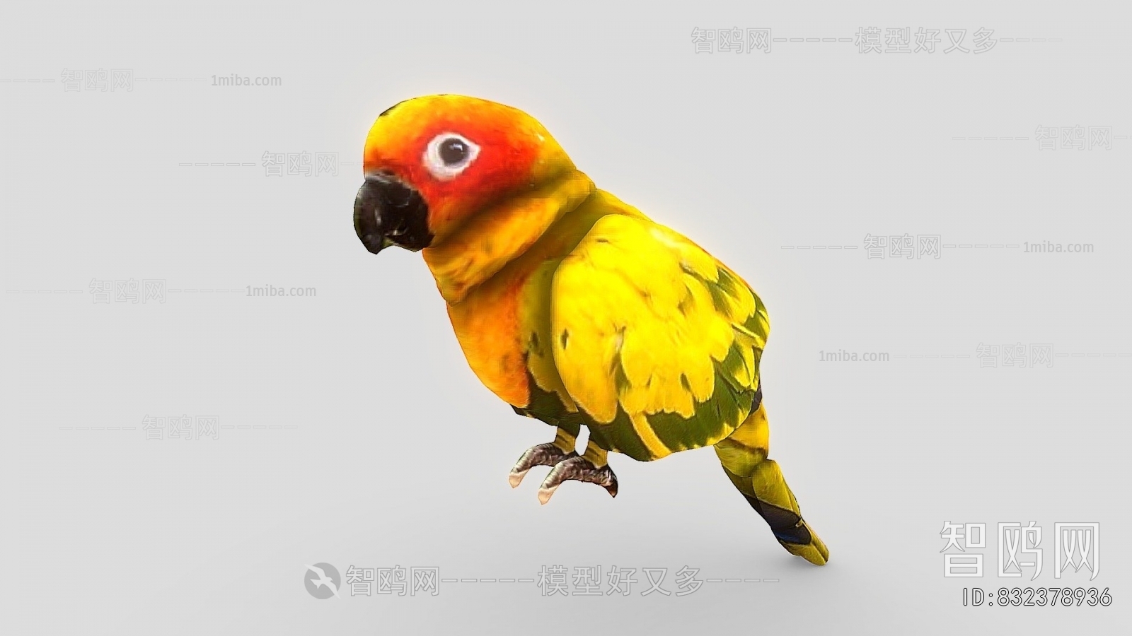 Modern Animal