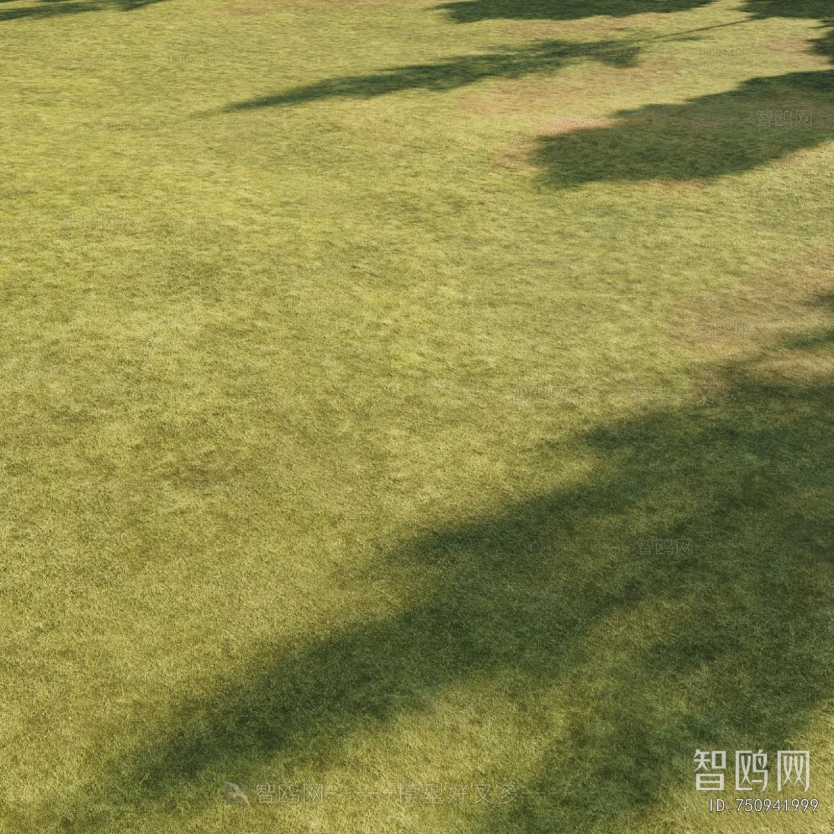 Modern The Grass