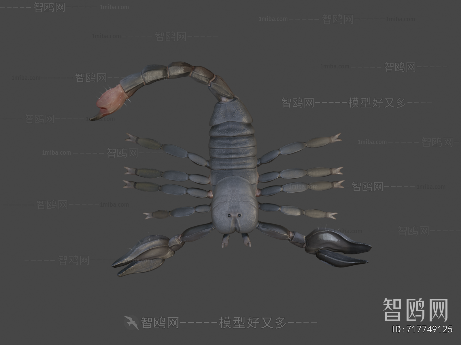 Modern Animal