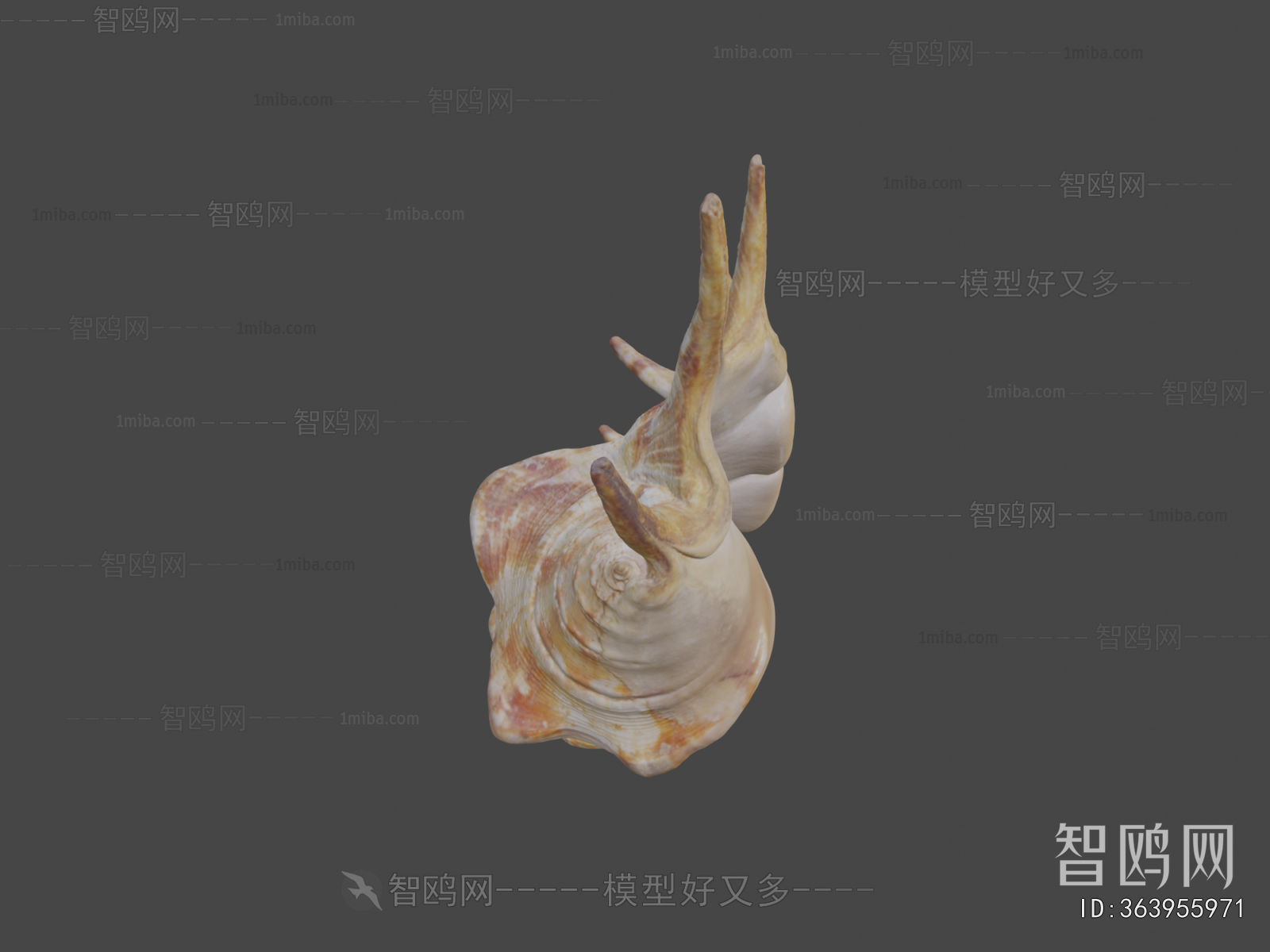 Modern Aquatic Animals