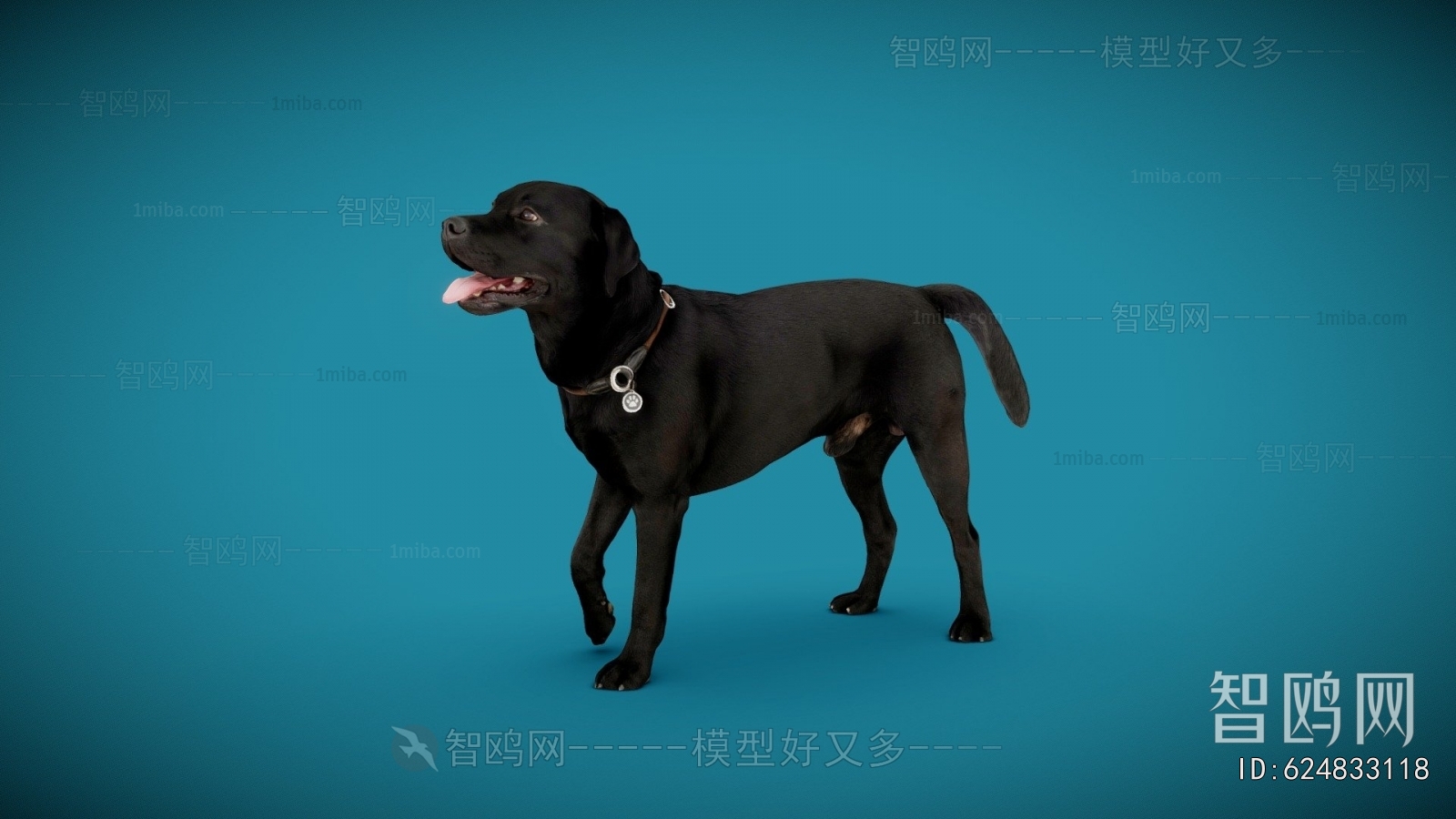 Modern Animal Dog
