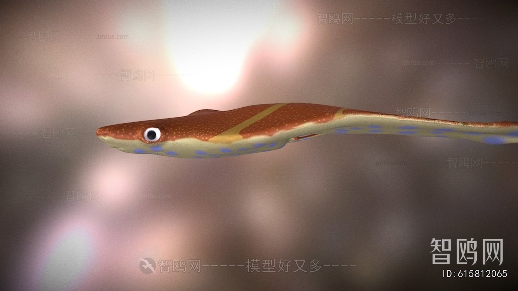 Modern Aquatic Animals