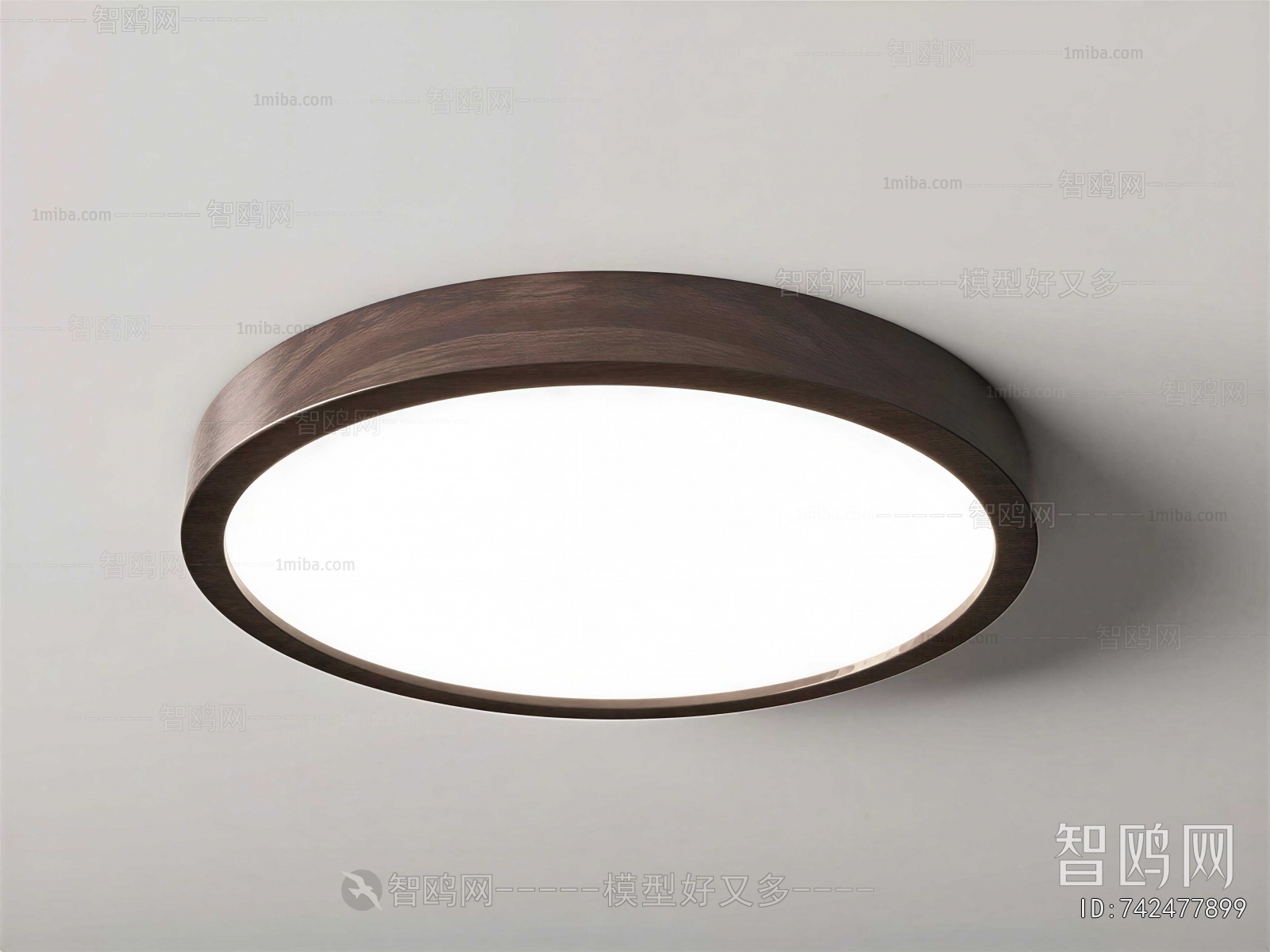 Modern Ceiling Ceiling Lamp