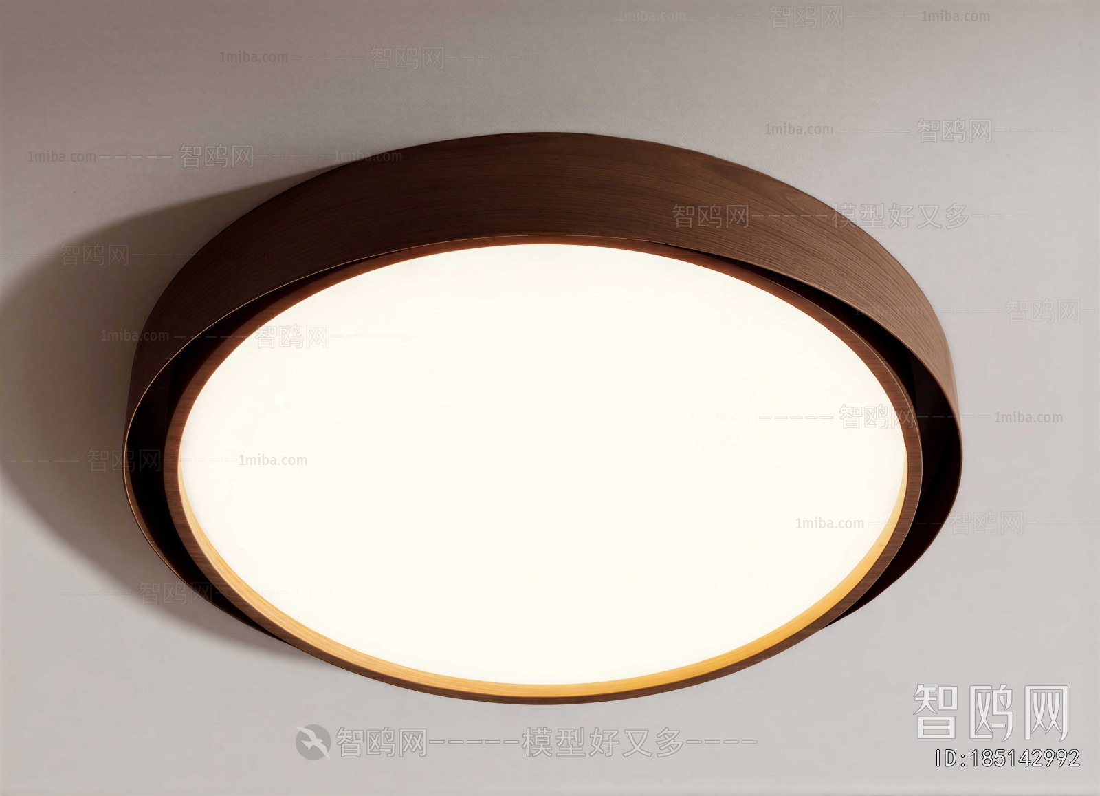 Modern Ceiling Ceiling Lamp
