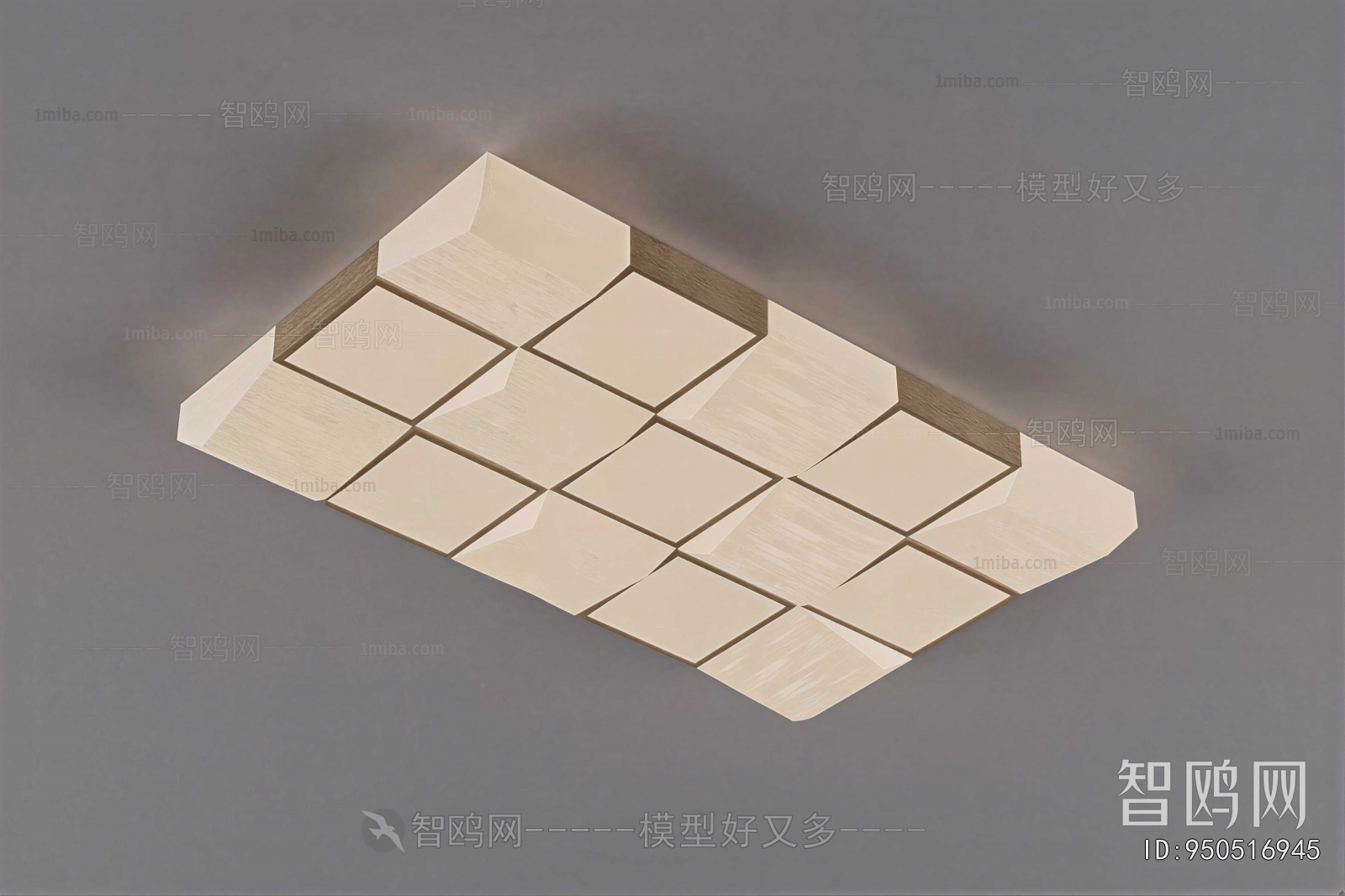 Modern Ceiling Ceiling Lamp