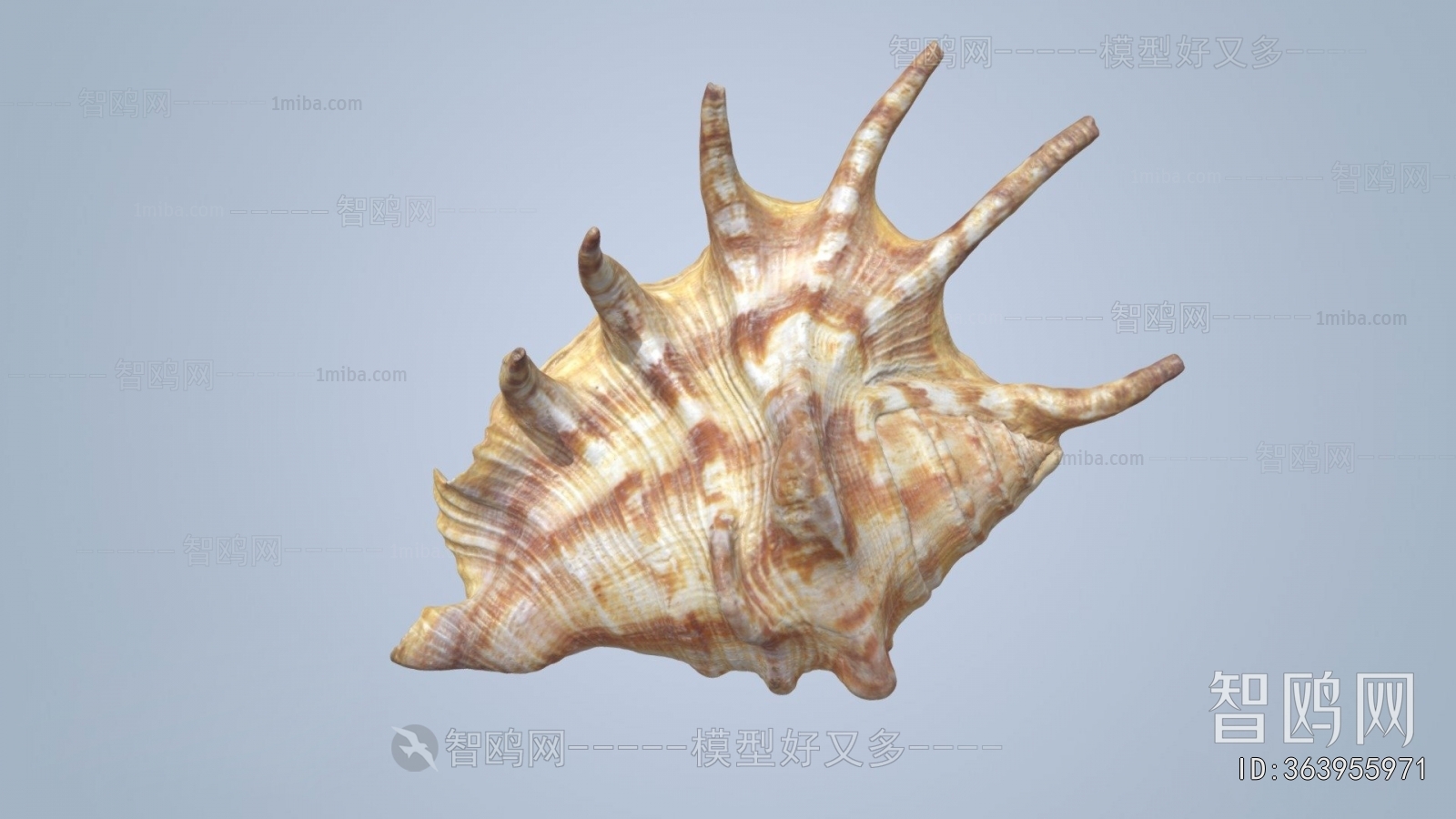 Modern Aquatic Animals