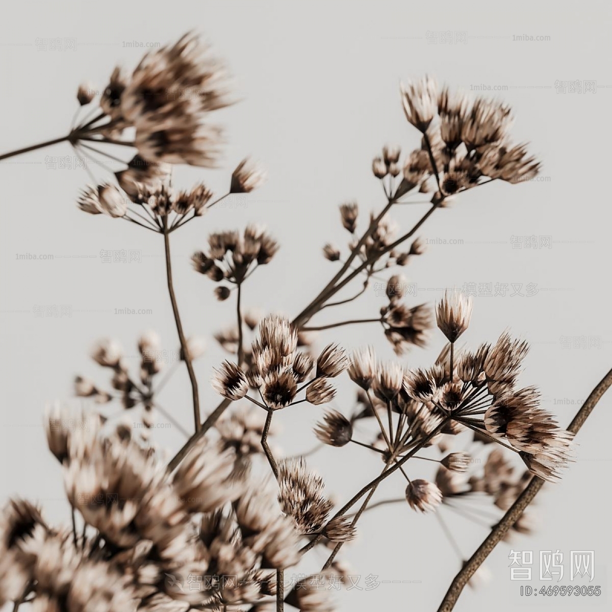 Wabi-sabi Style Dried Branch