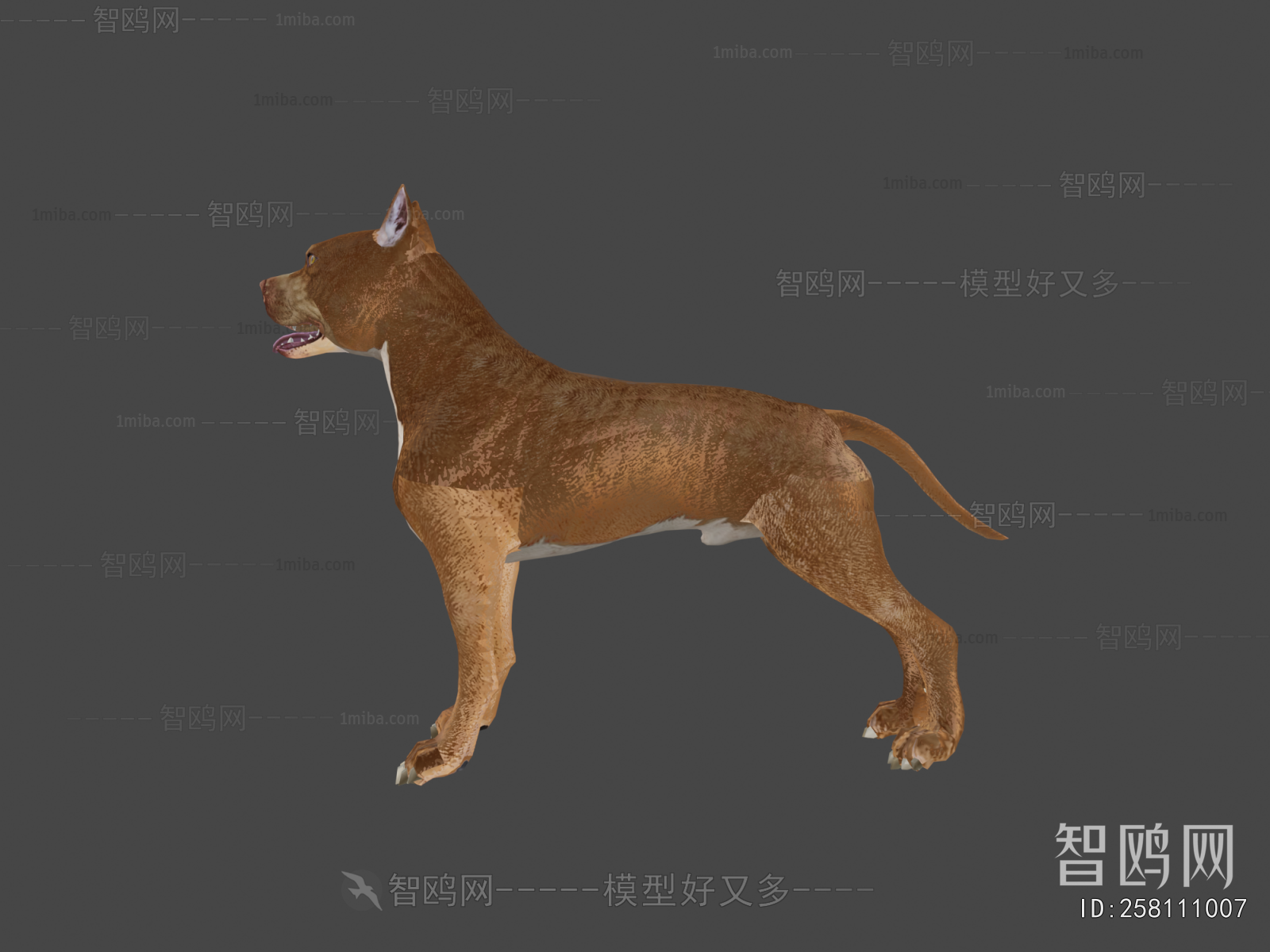 Modern Animal Dog