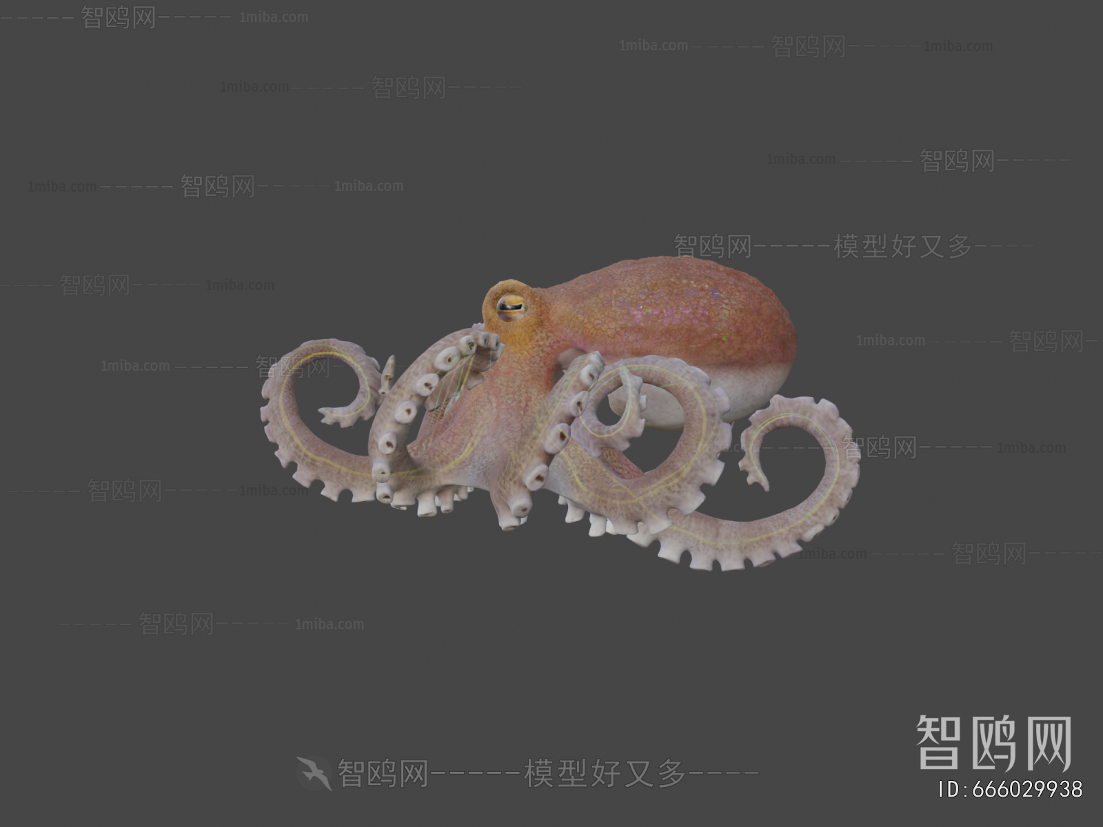 Modern Animal