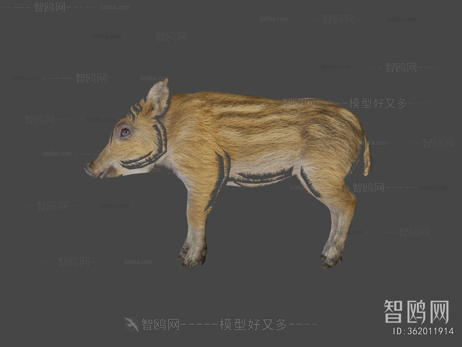 Modern Mammal