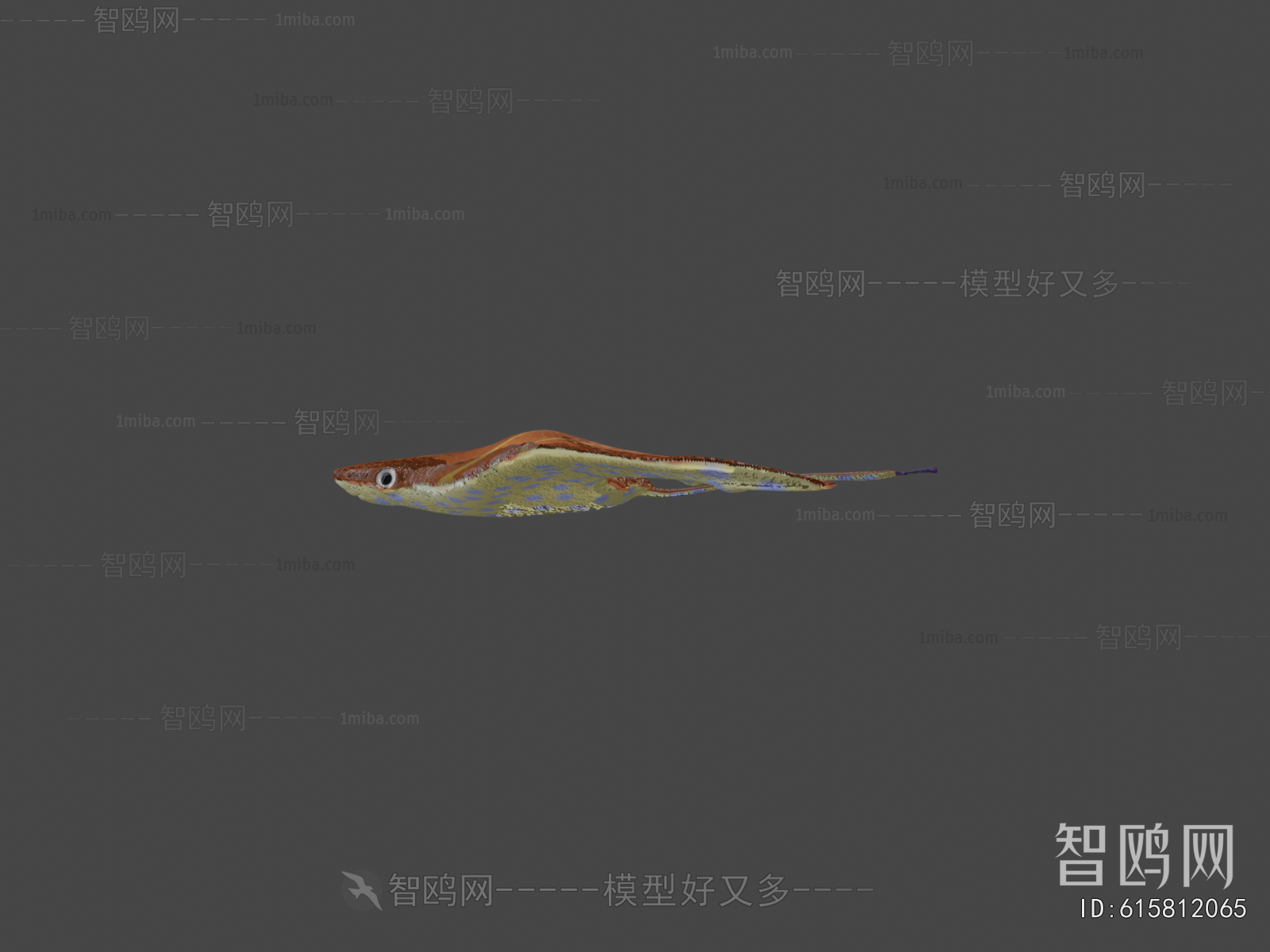 Modern Aquatic Animals