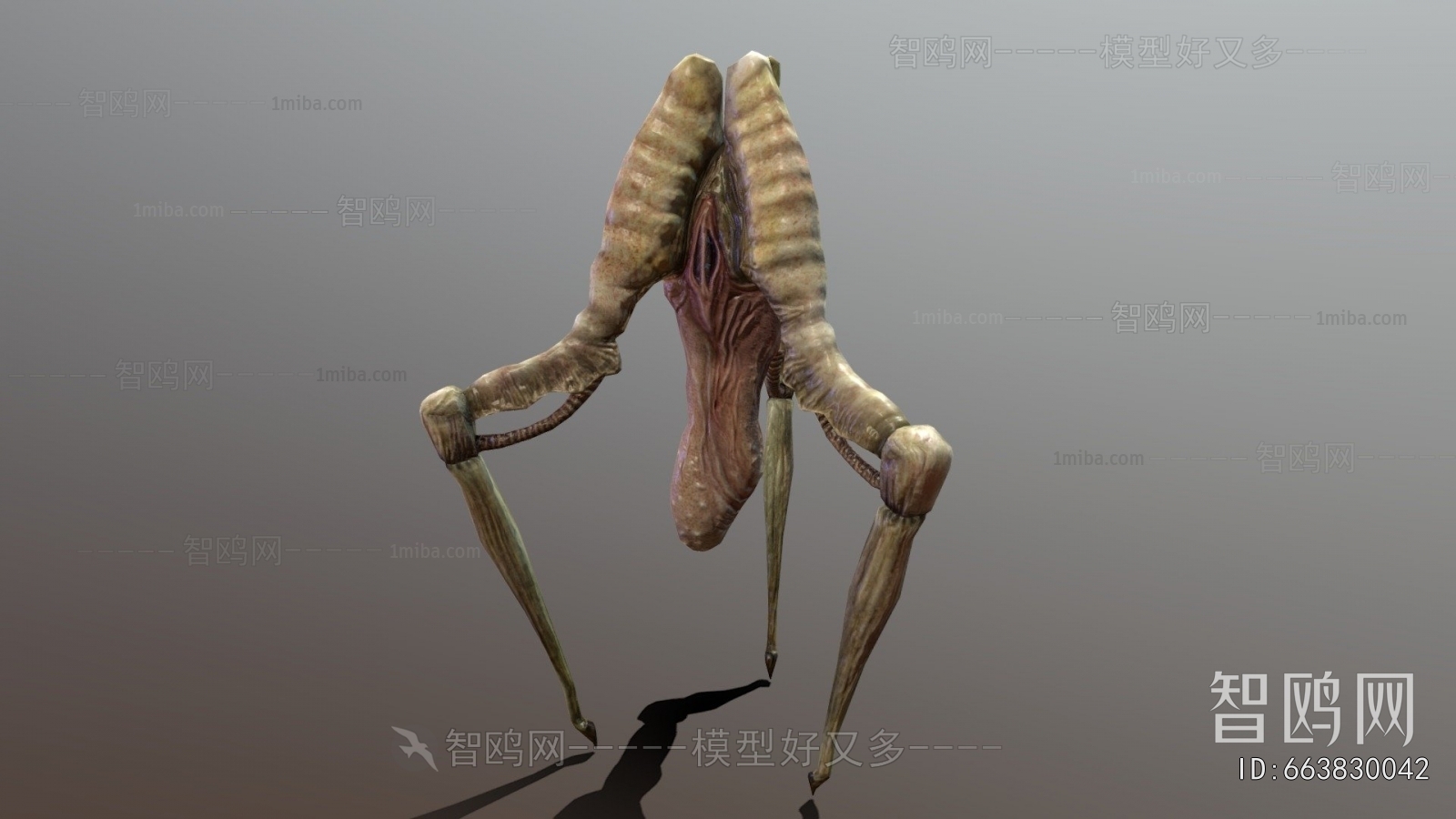 Modern Animal