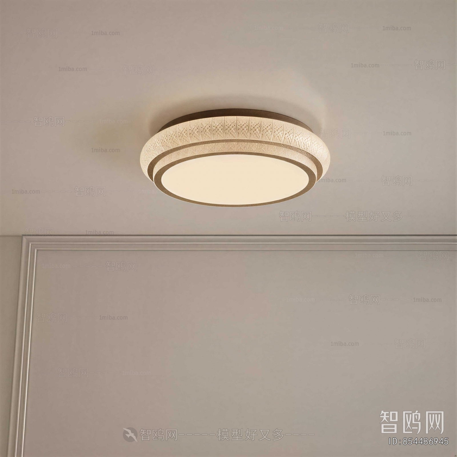 Modern Ceiling Ceiling Lamp