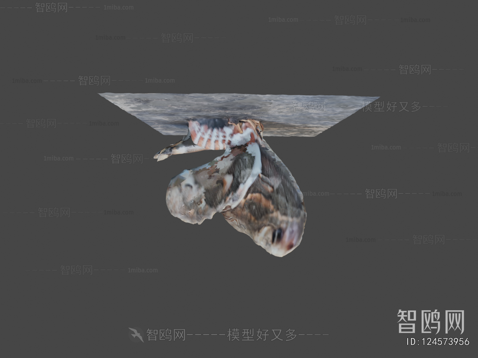 Modern Animal