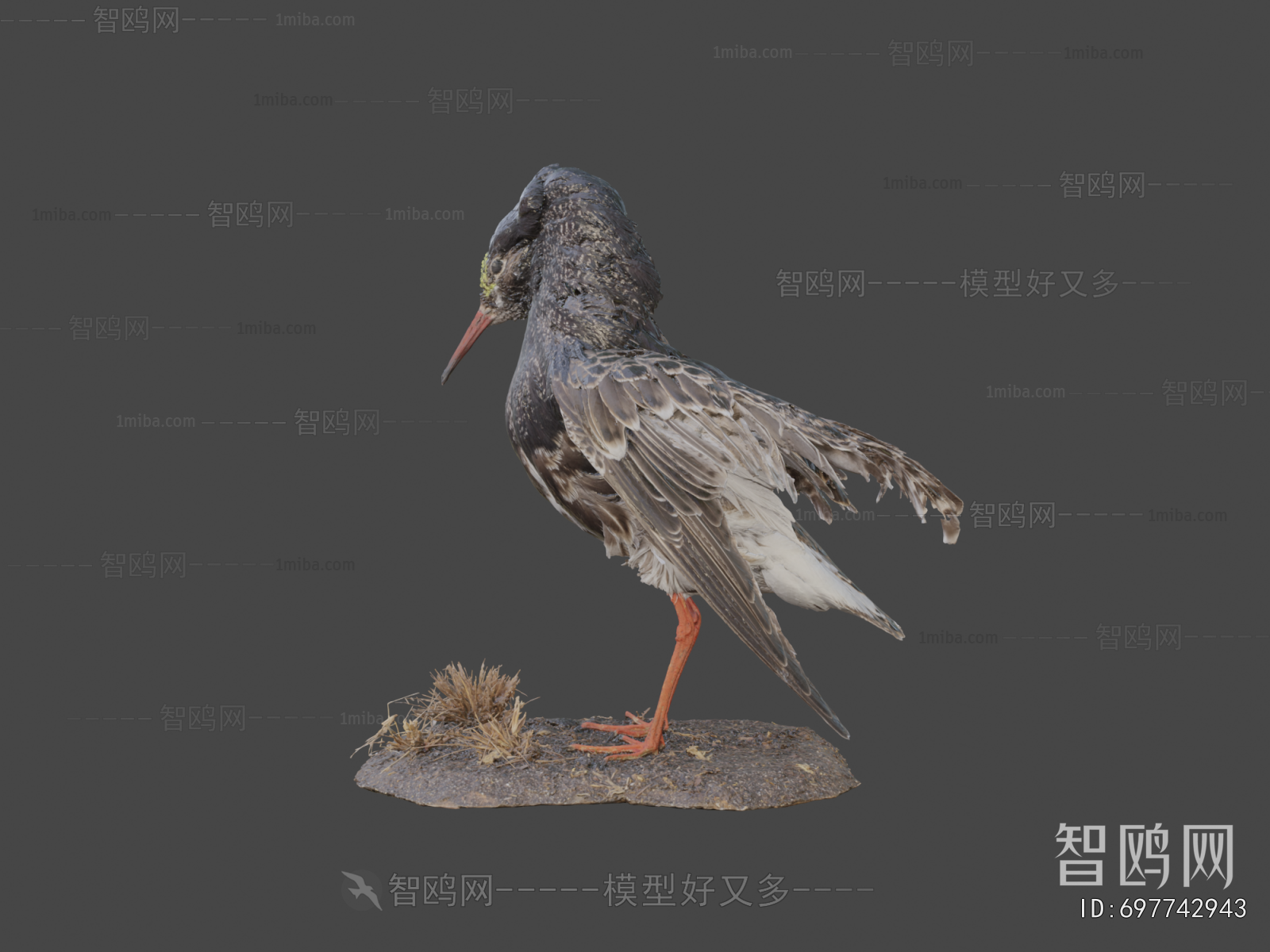 Modern Flying Animals