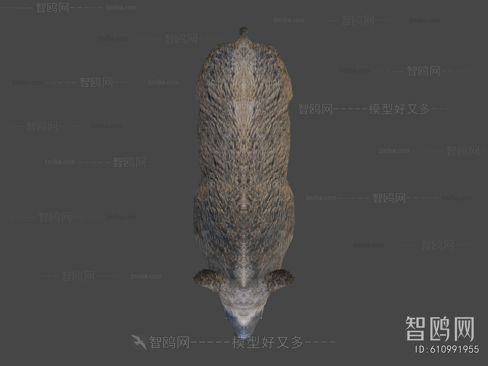 Modern Animal