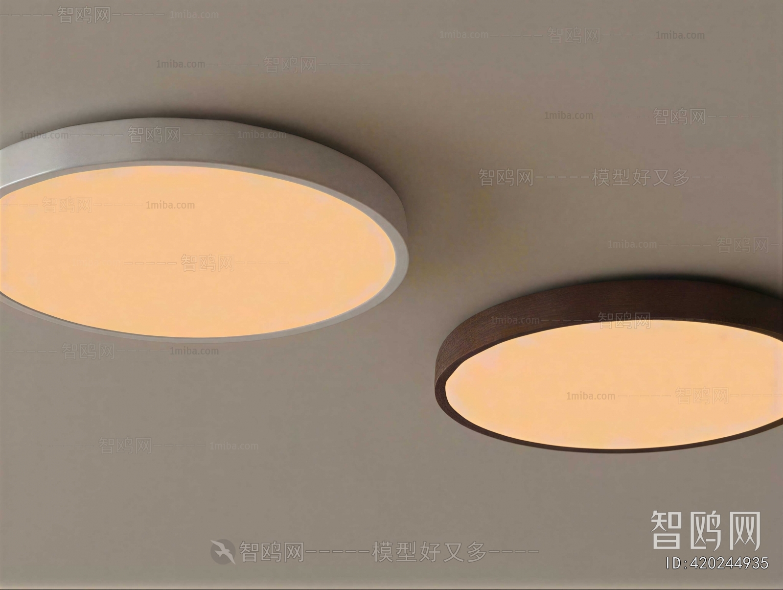 Modern Ceiling Ceiling Lamp