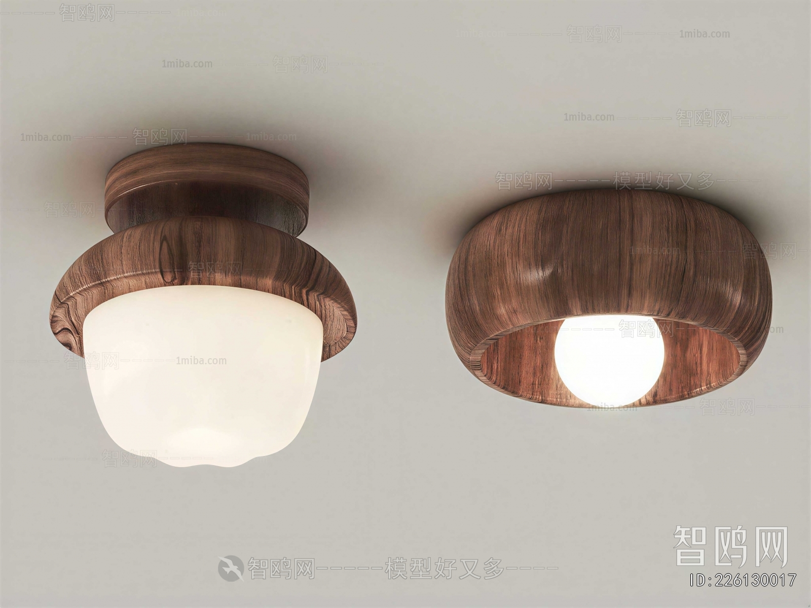 Modern Ceiling Ceiling Lamp
