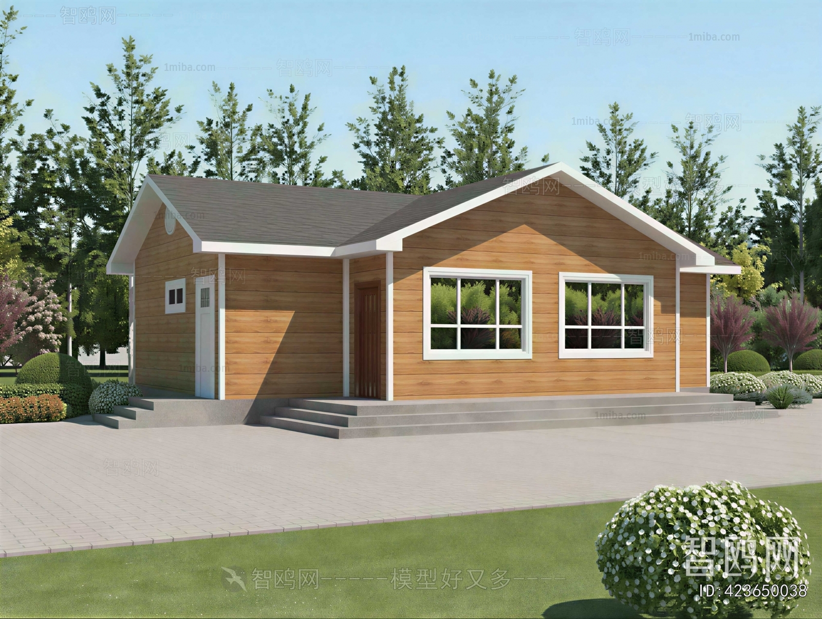 Modern Villa Appearance
