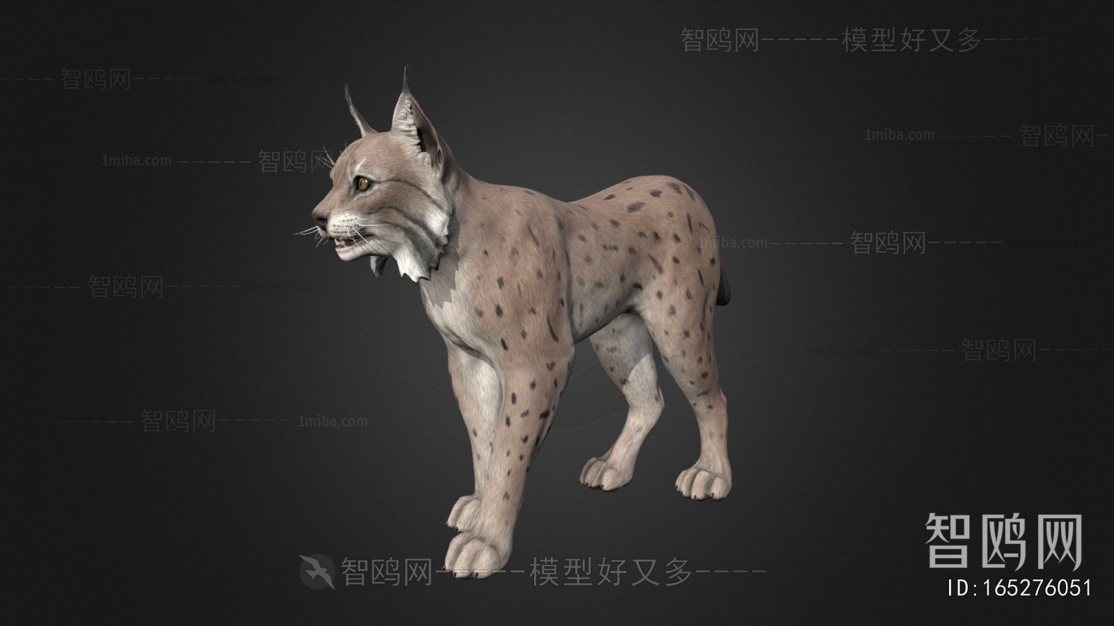 Modern Animal Cat