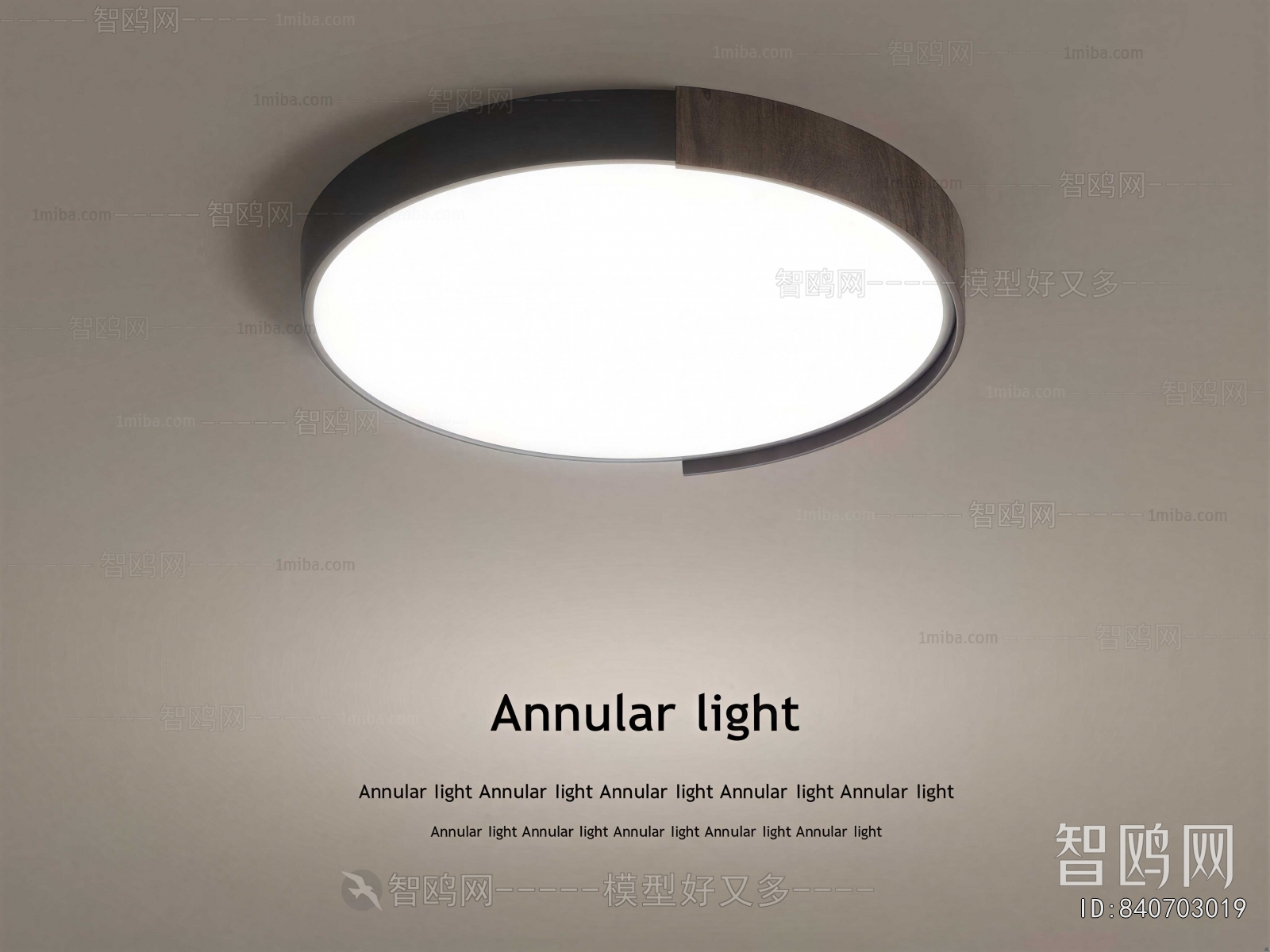 Modern Ceiling Ceiling Lamp