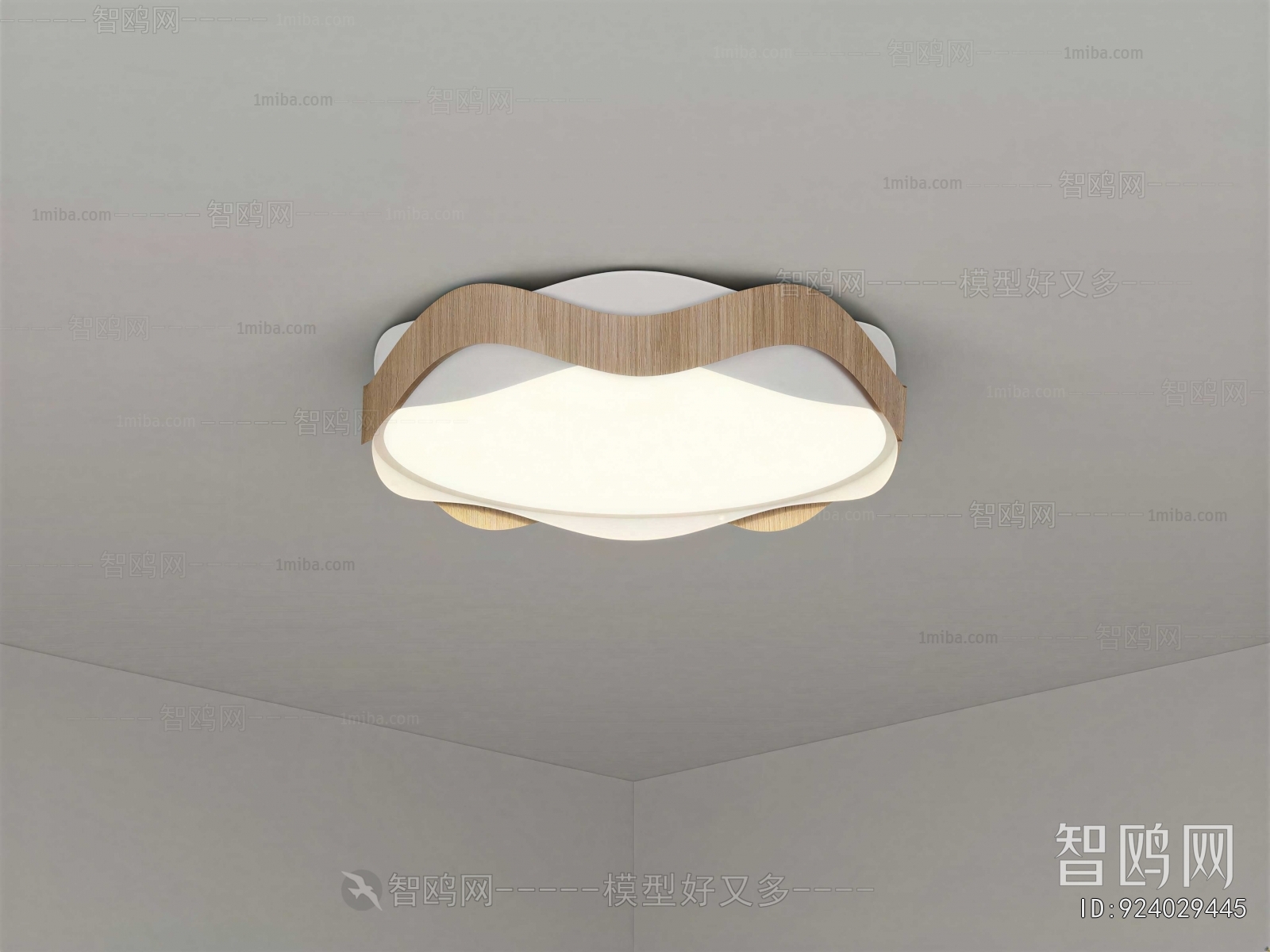Modern Ceiling Ceiling Lamp