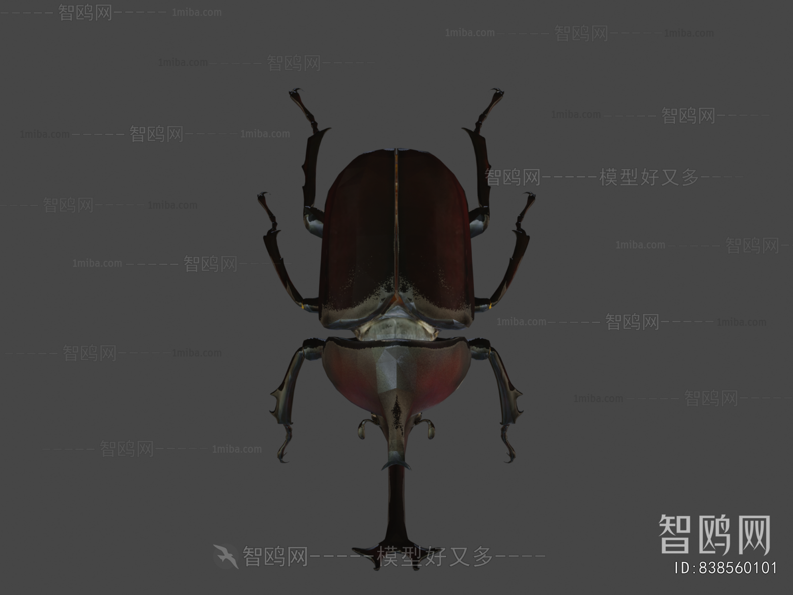 Modern Animal
