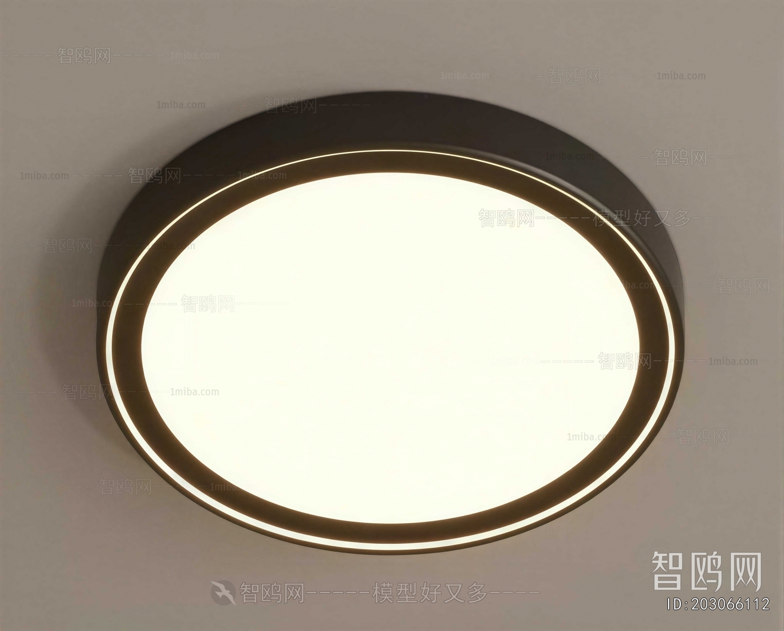 Modern Ceiling Ceiling Lamp