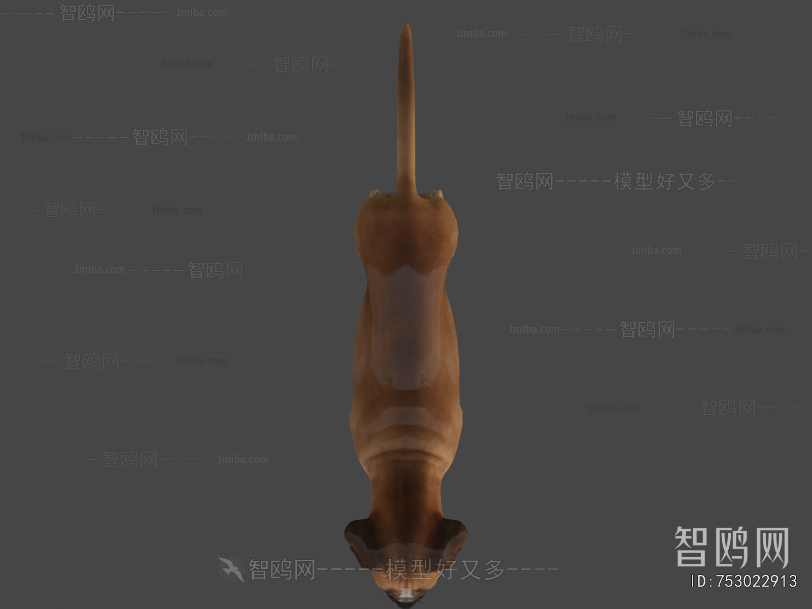 Modern Animal Dog