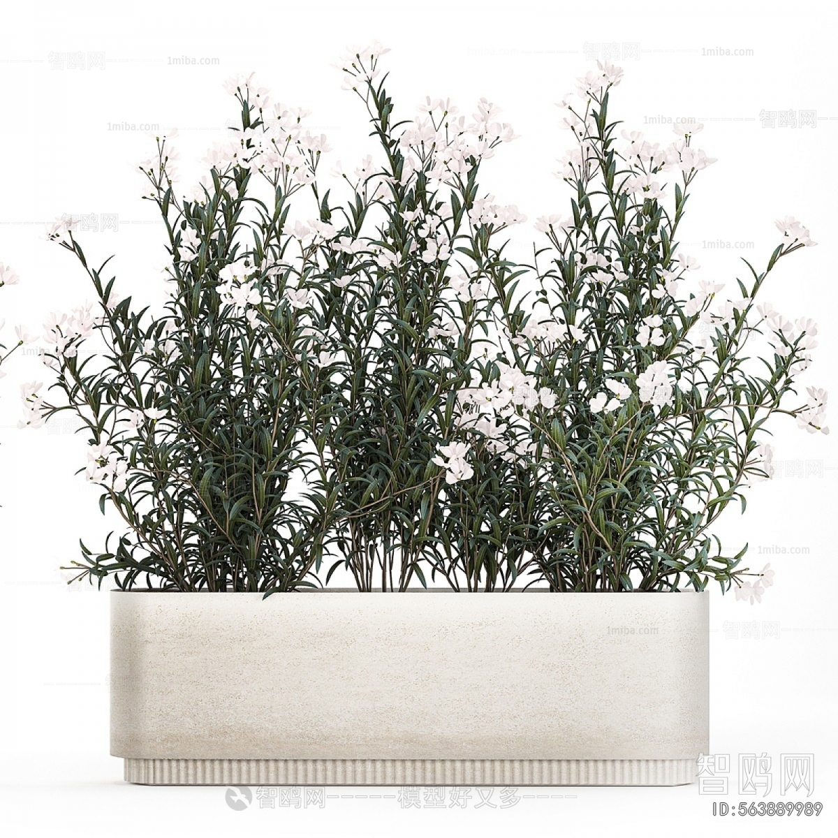 Modern Flower Bed, Flower Bowl, Flower Box