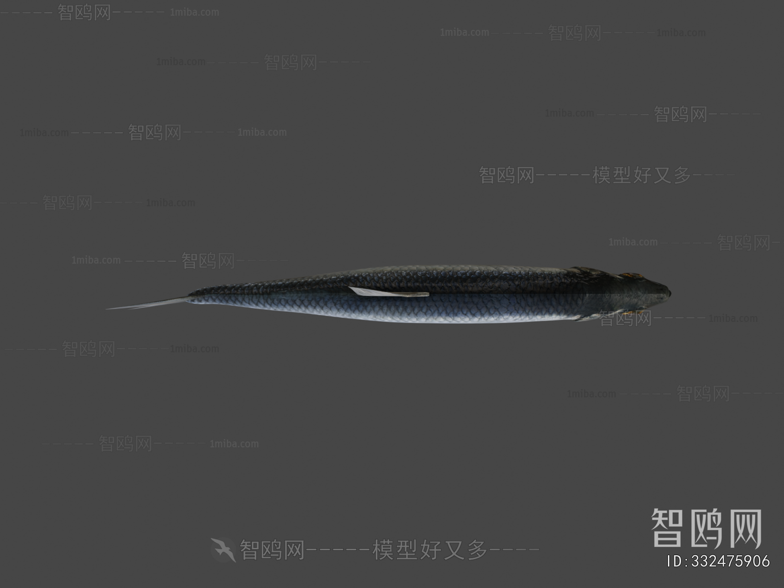Modern Aquatic Animals