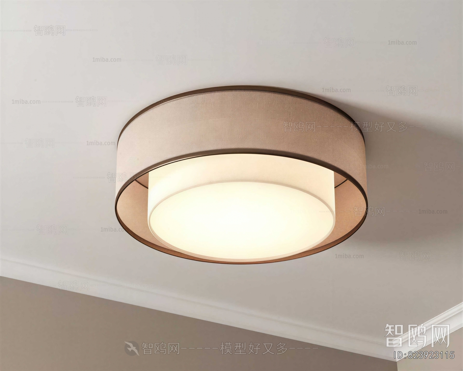 New Chinese Style Ceiling Ceiling Lamp