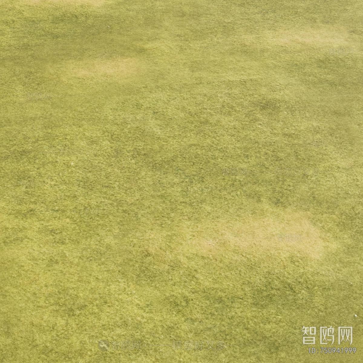 Modern The Grass