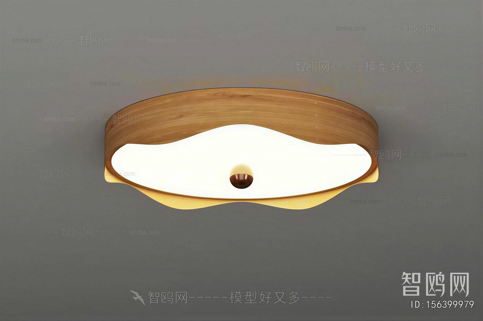 Modern Ceiling Ceiling Lamp