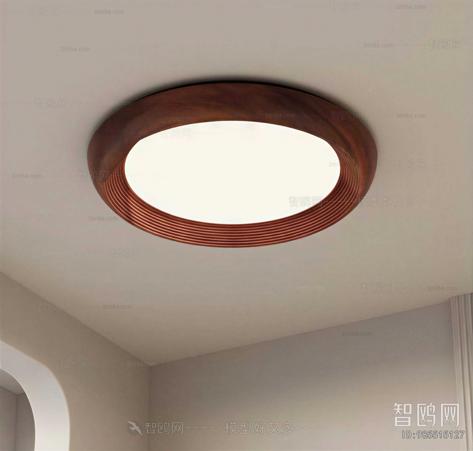 Modern Ceiling Ceiling Lamp