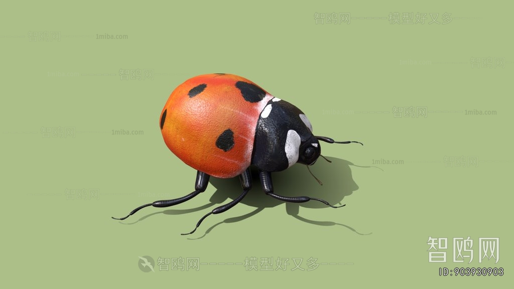 Modern Animal