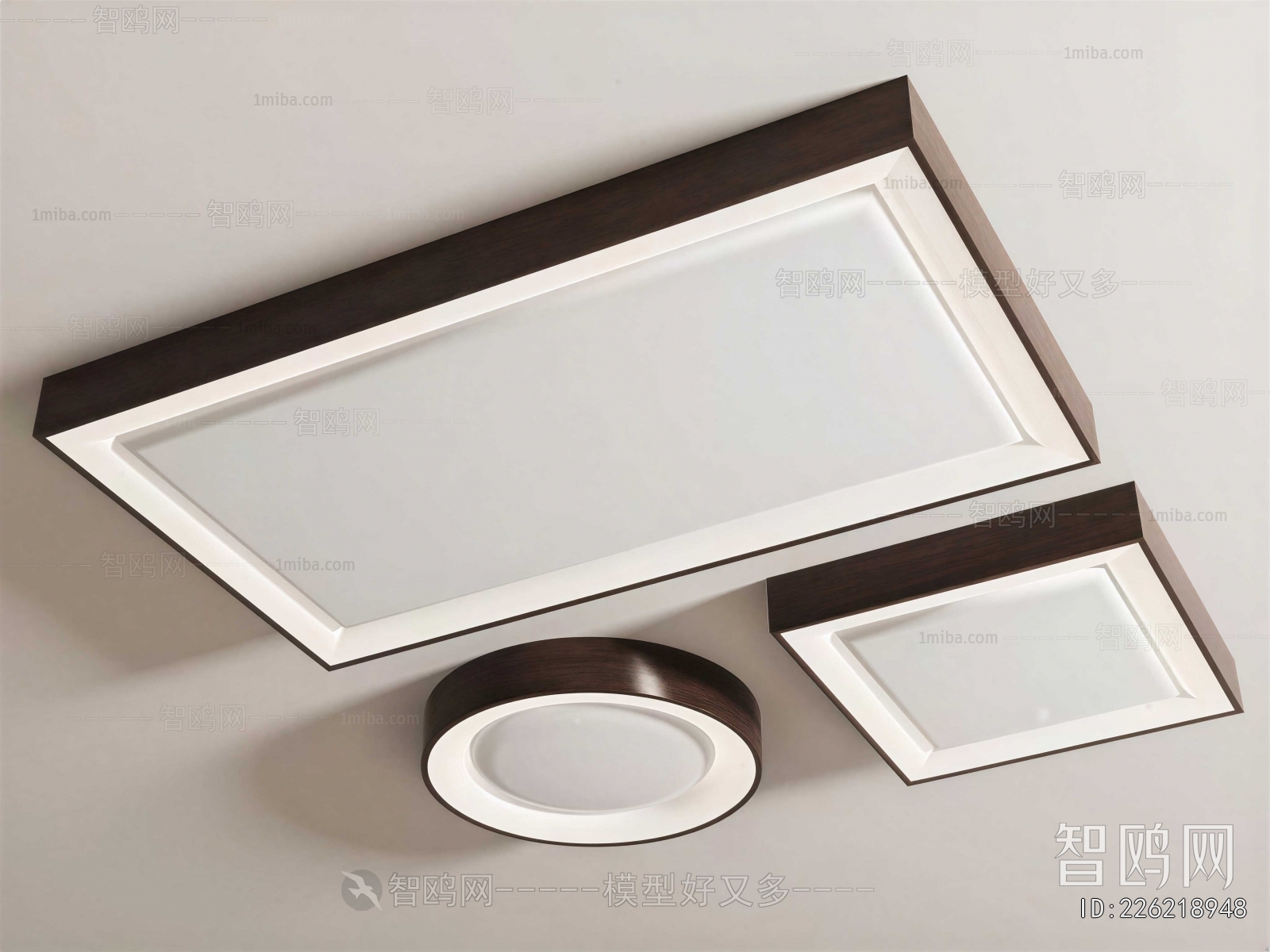 Modern Ceiling Ceiling Lamp