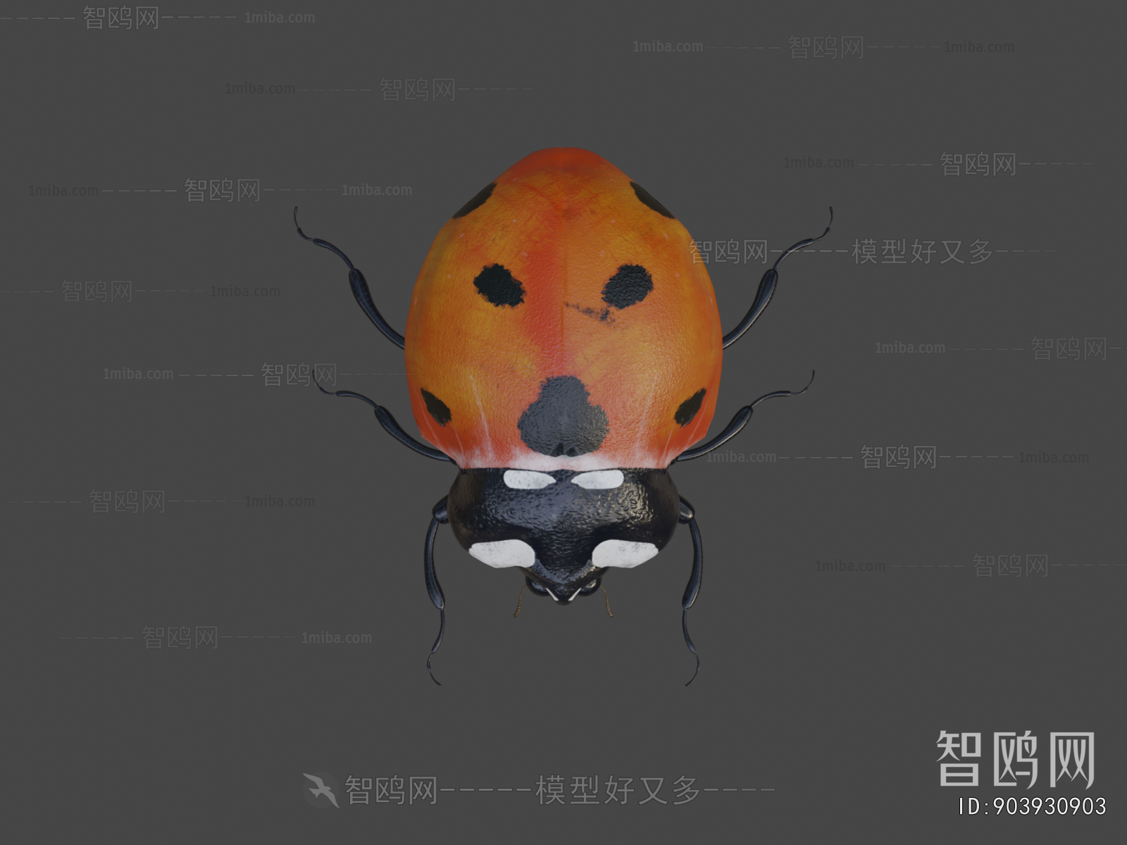 Modern Animal