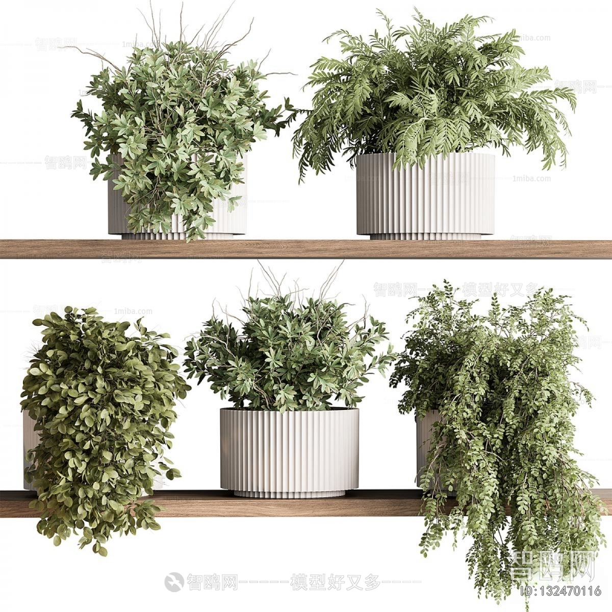 Modern Potted Green Plant