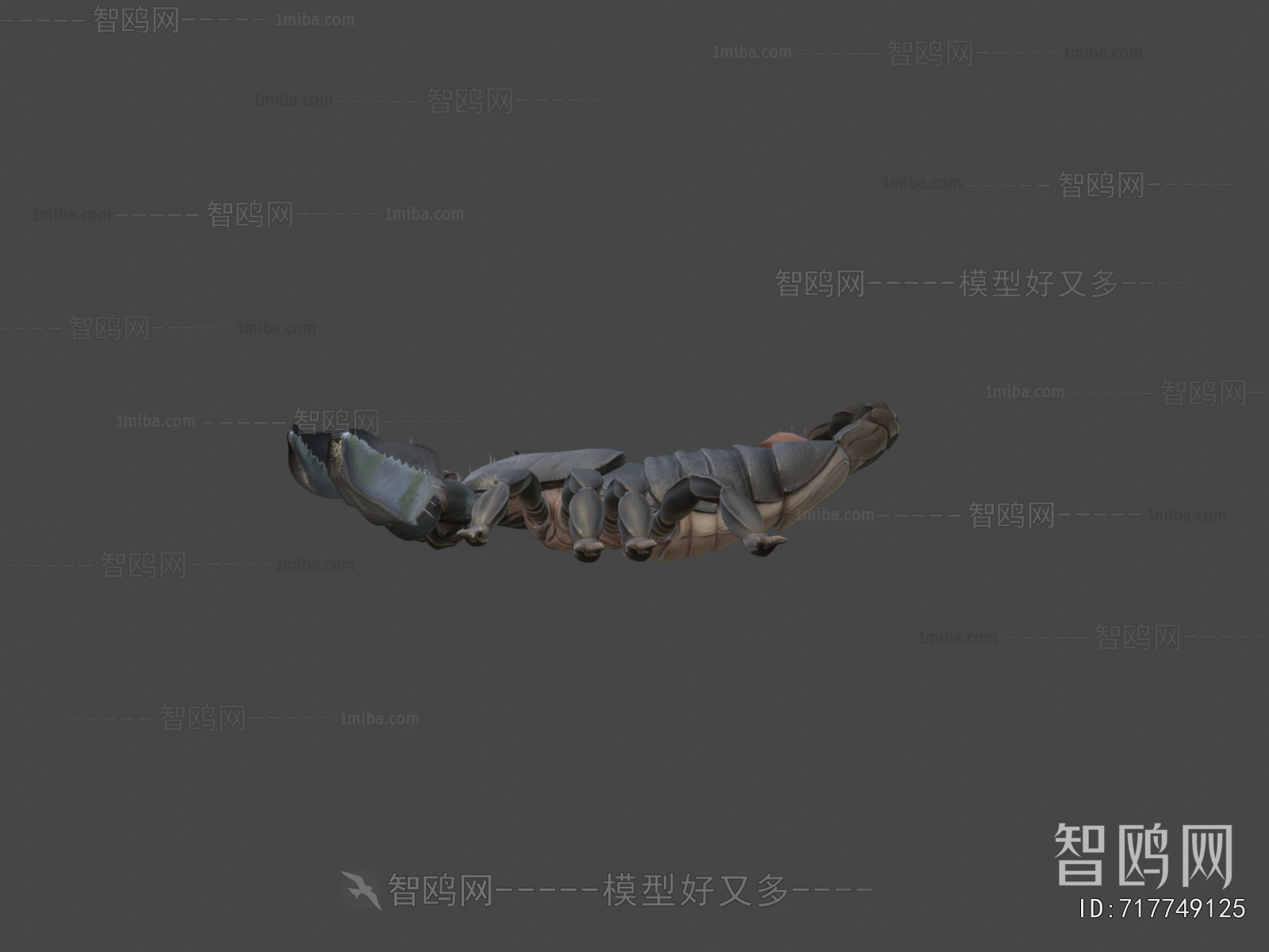Modern Animal