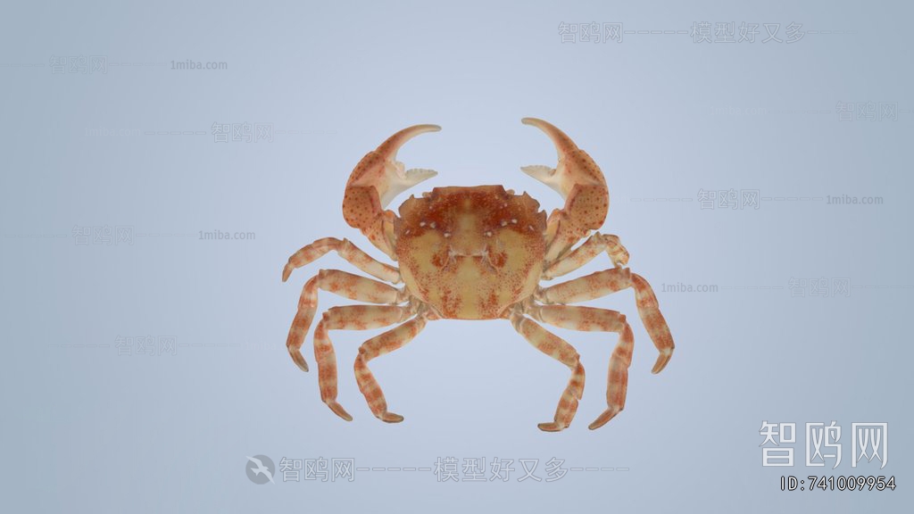 Modern Aquatic Animals
