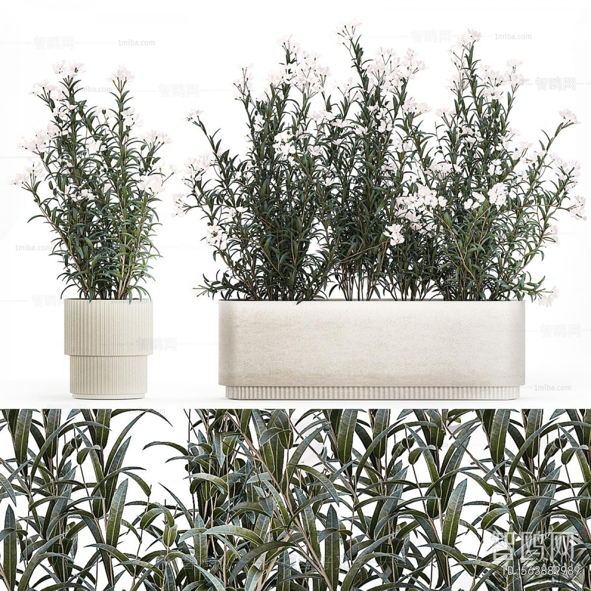 Modern Flower Bed, Flower Bowl, Flower Box